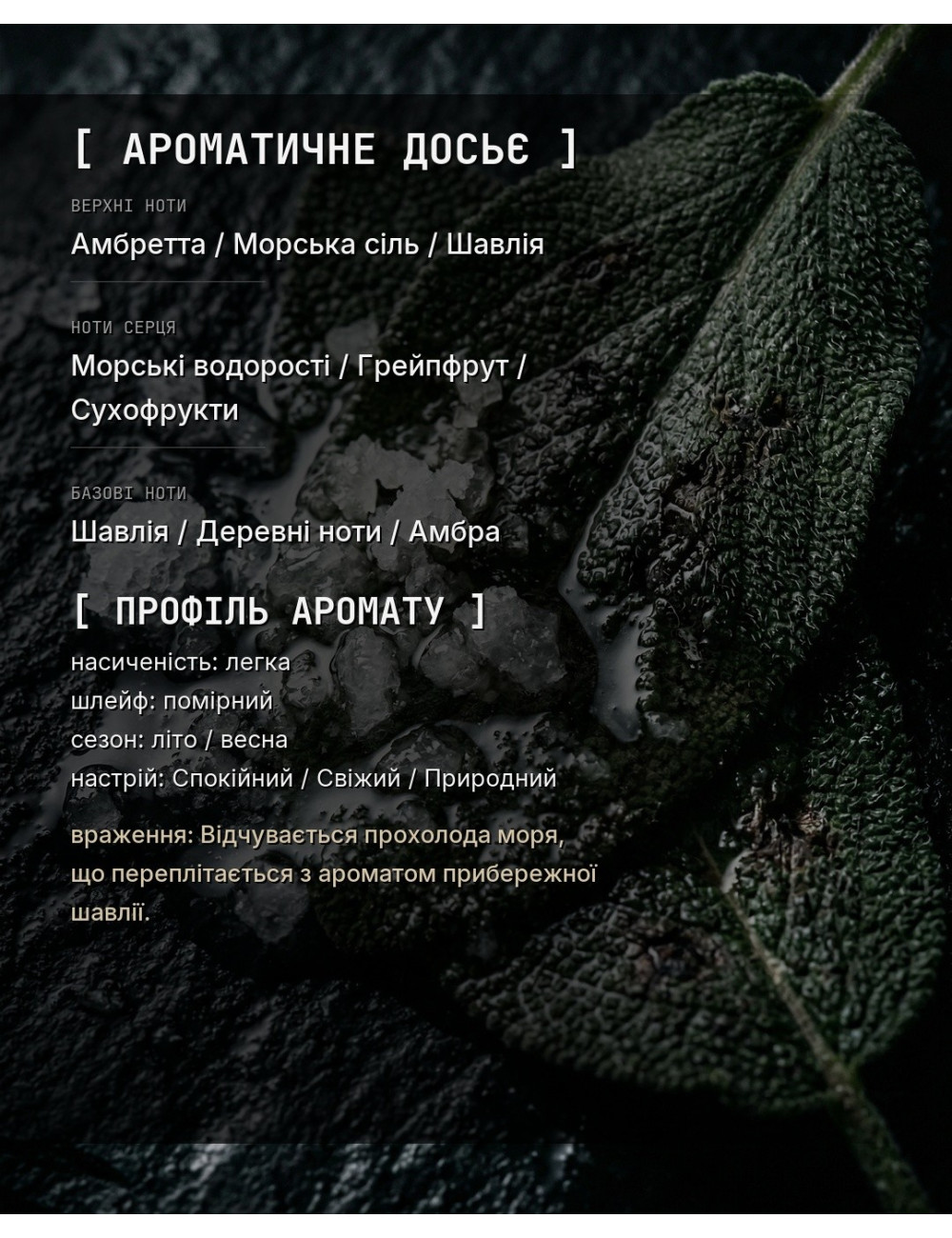 SEA_SALT_SAGE — в стиле Wood Sage & Sea Salt — зображення 1
