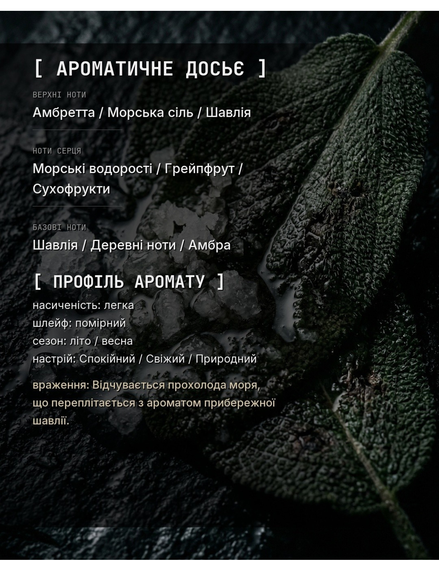 SEA_SALT_SAGE — в стиле Wood Sage & Sea Salt — ароматичне досьє OLFx