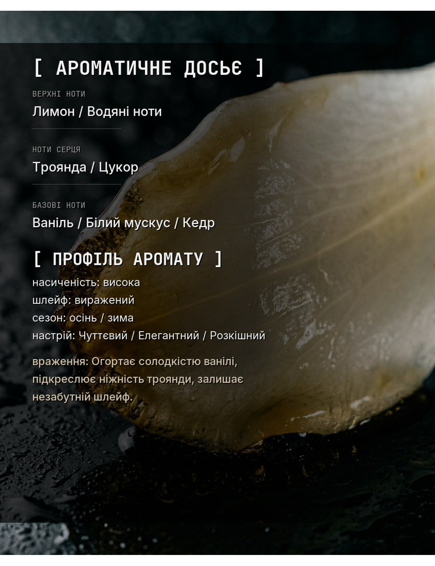 SUGAR_ROSE — в стиле Roses Vanille — ароматичне досьє OLFx